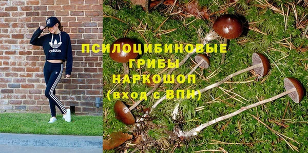 каннабис Алексин